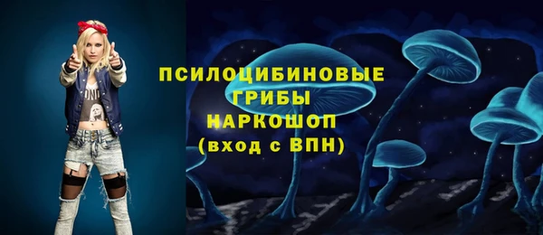 тгк Володарск