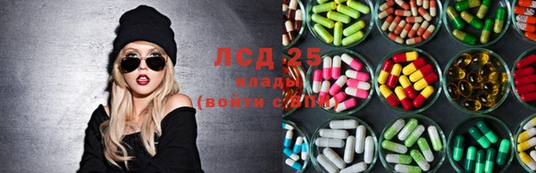 тгк Володарск