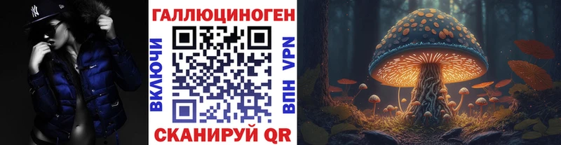 купить наркоту  Кандалакша  Псилоцибиновые грибы Psilocybine cubensis 